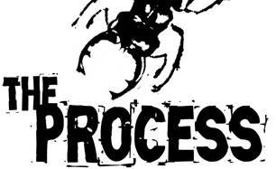 logo The Process